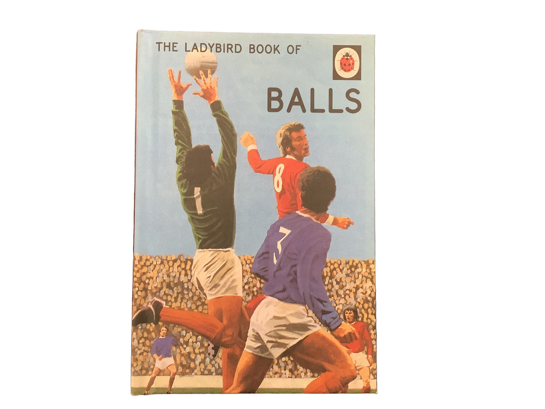 Book, The Ladybird Book Of Balls