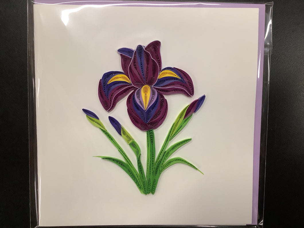 Quilling Card, Iris Flower