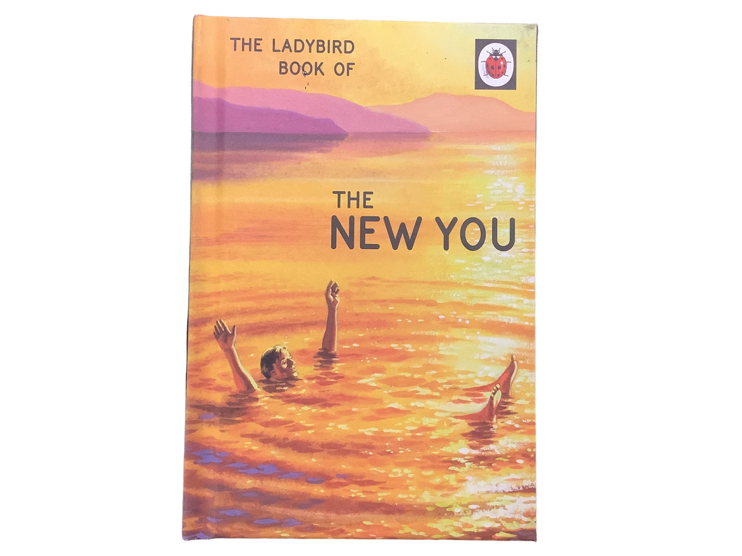 Book, The Ladybird Book Of The New You