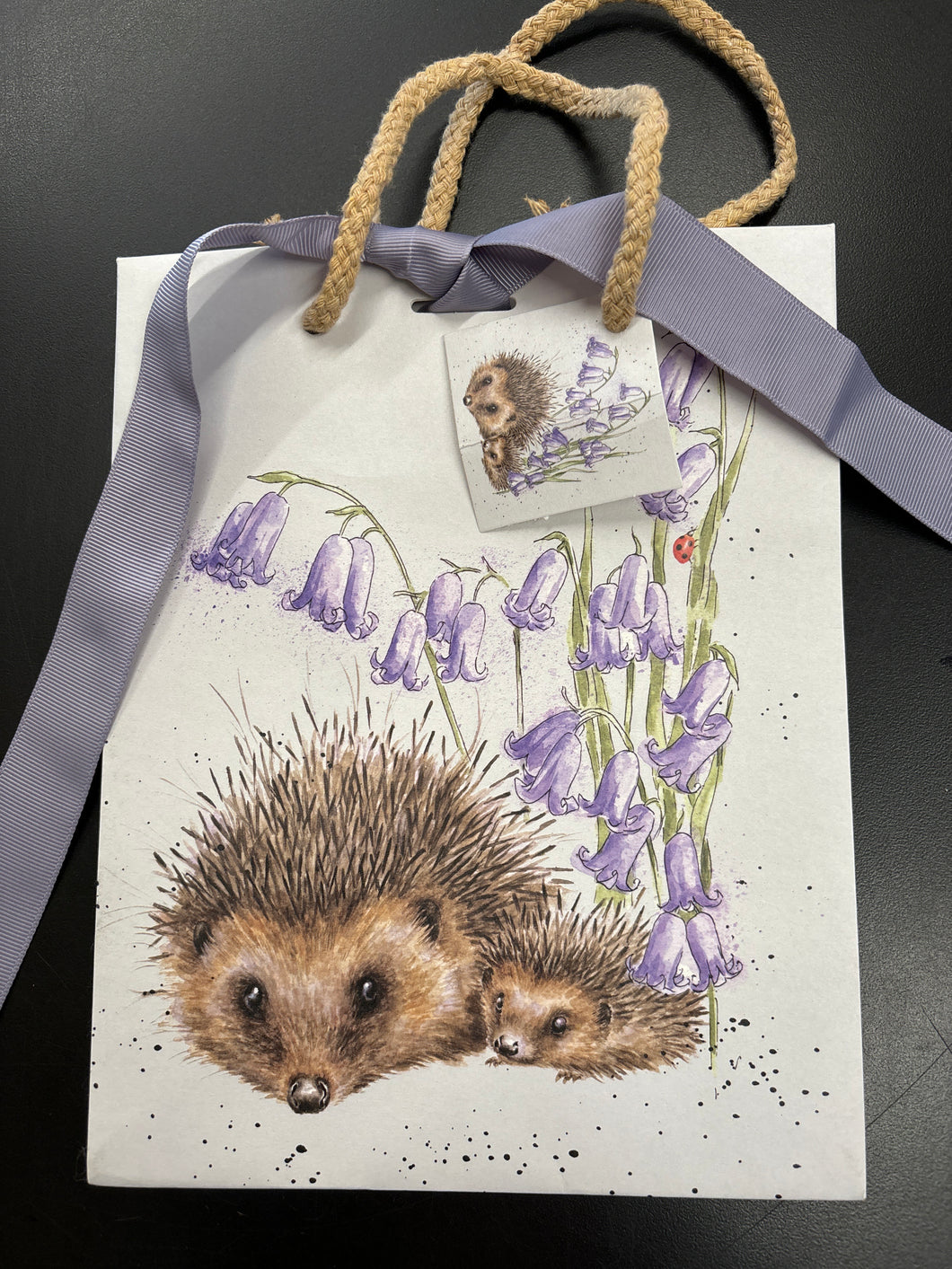 Gift Bag Medium, Hedgehog