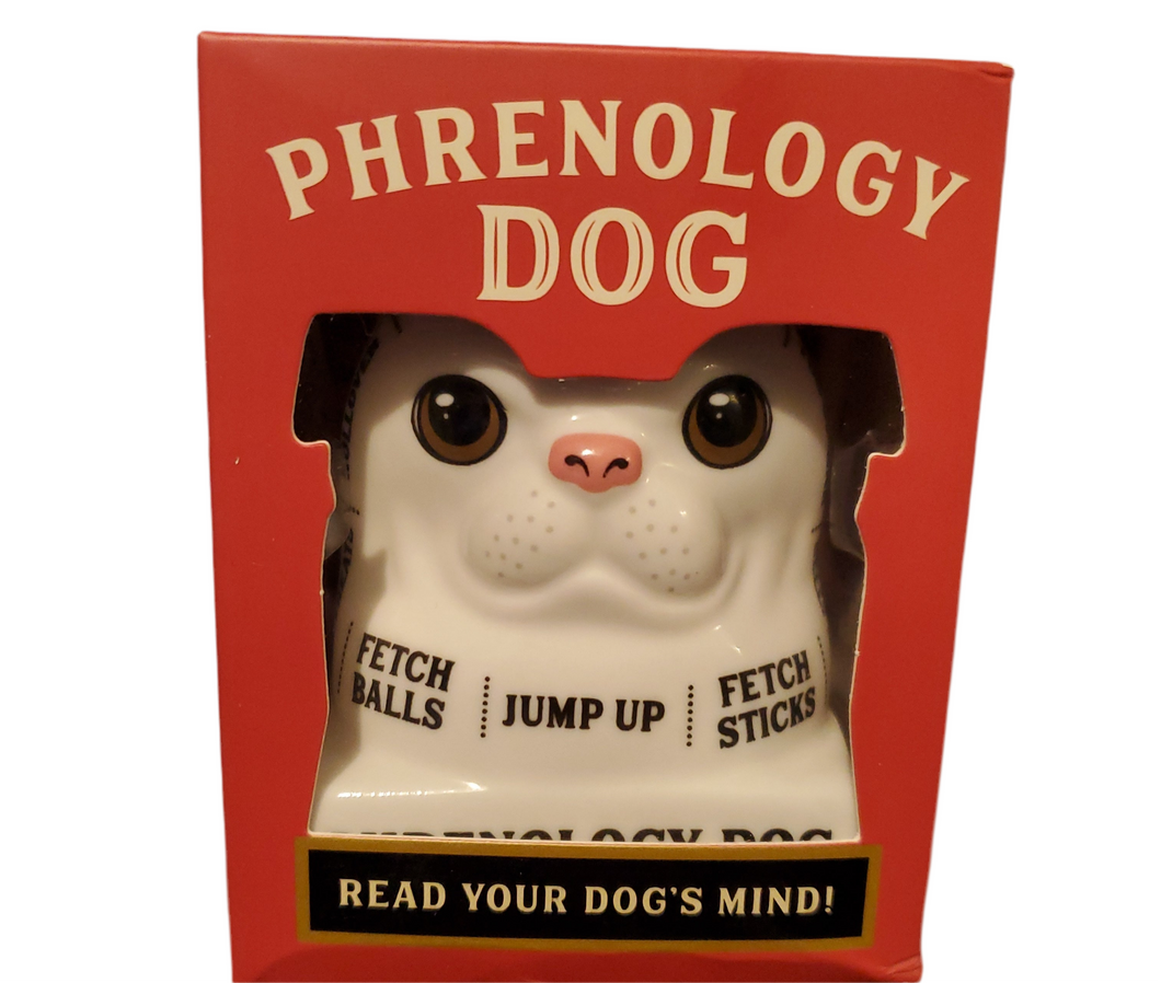 Mini Kit, Phrenology Dog
