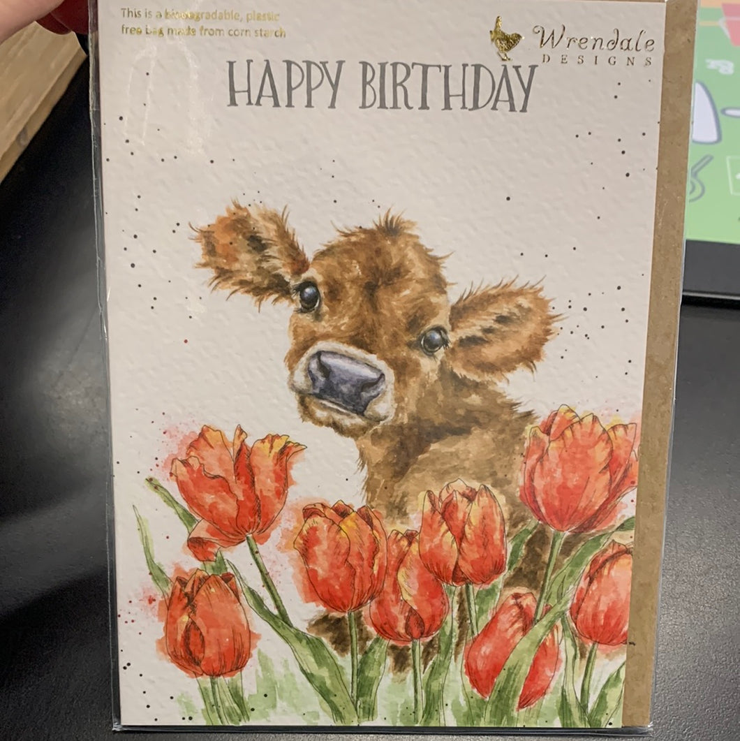 Wrendale Card, Birthday Bessie
