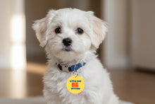 Load image into Gallery viewer, Little Dog, Big Attitude Pup Charm
