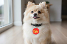 Load image into Gallery viewer, Little Shit Pup Charm
