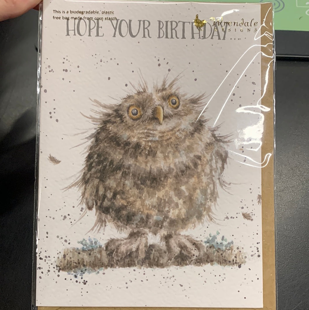 Wrendale Card, You’re a hoot