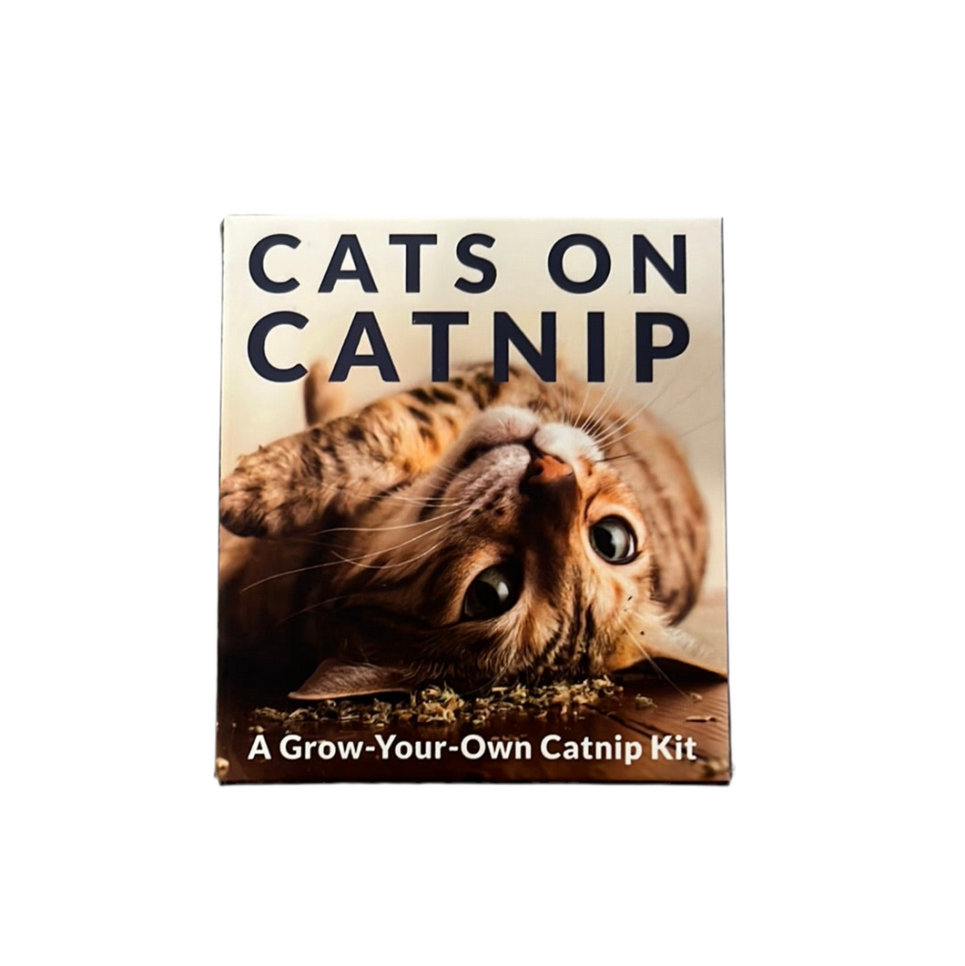 Mini Kit, Cats On Catnip