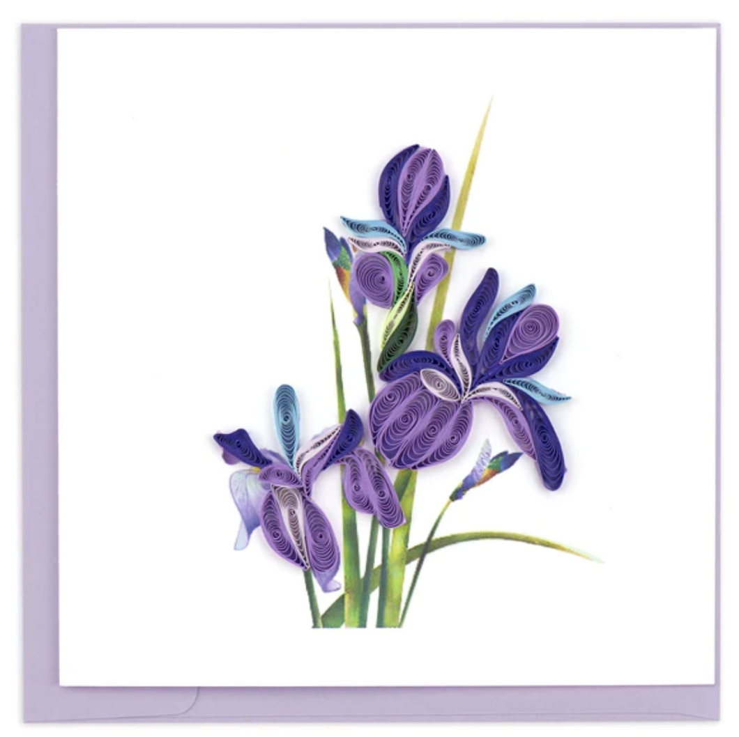 Quilling Gift Card, Iris