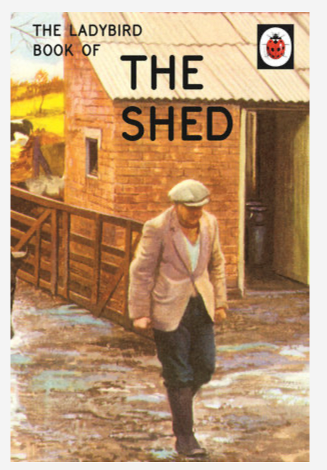 Book, The Ladybird Book Of The Shed