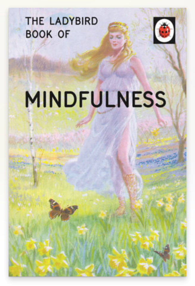 Book, The Ladybird Book Of Mindfulness