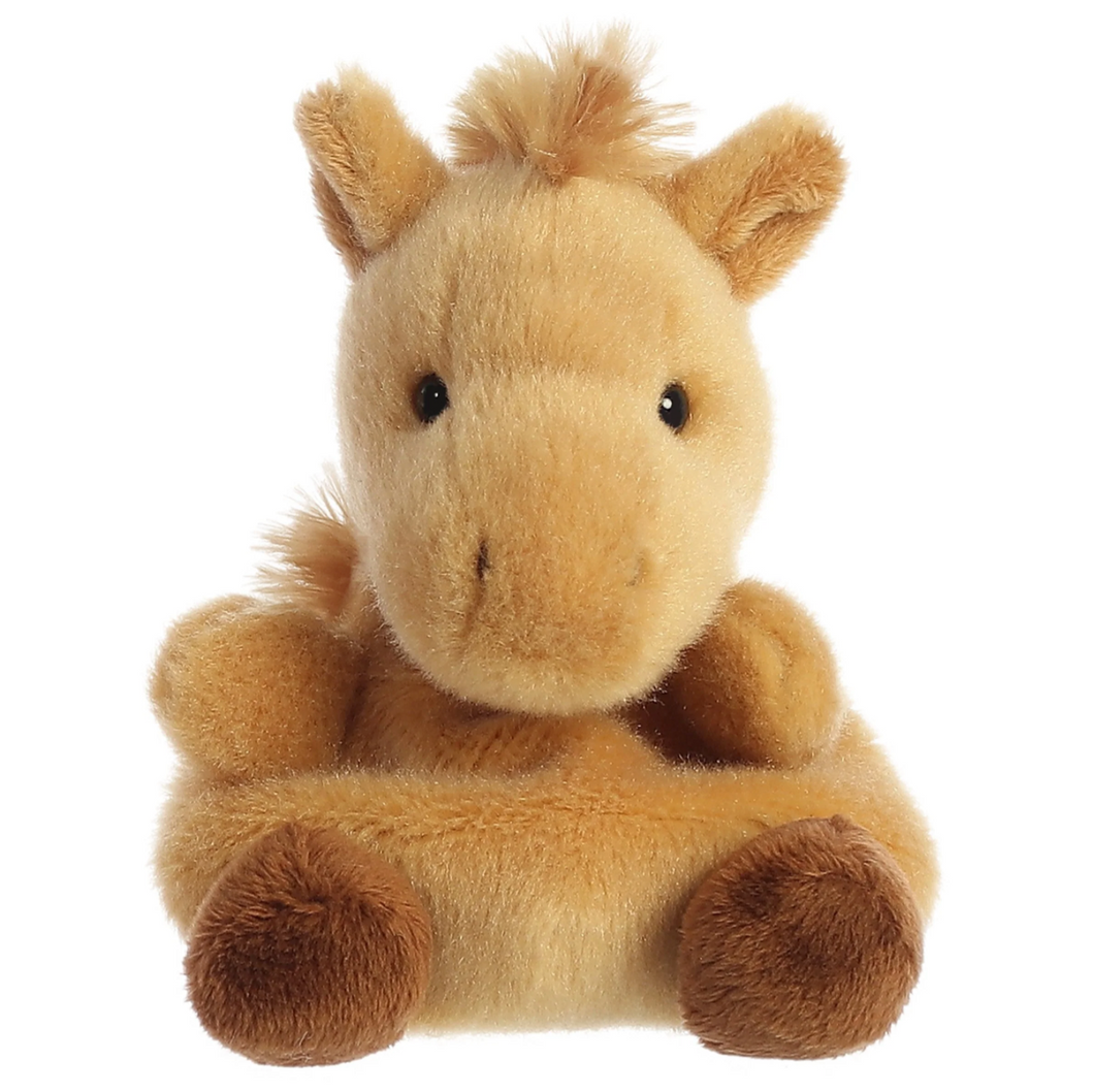 Palm Pal, Gallop Pony