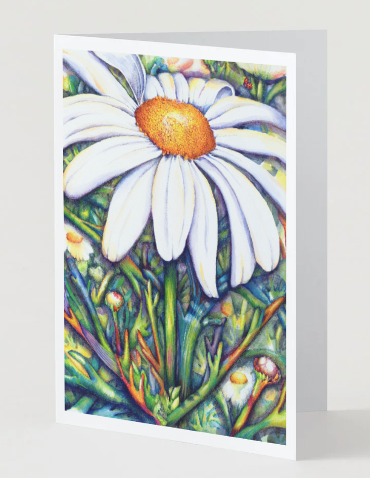 Kath's Cards, Daisy