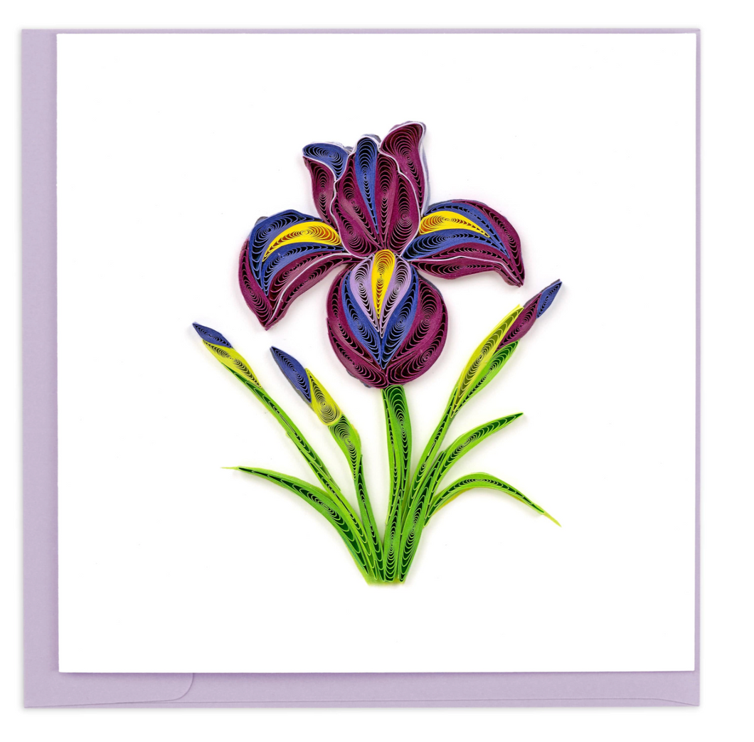 Quilling Card, Iris Flower