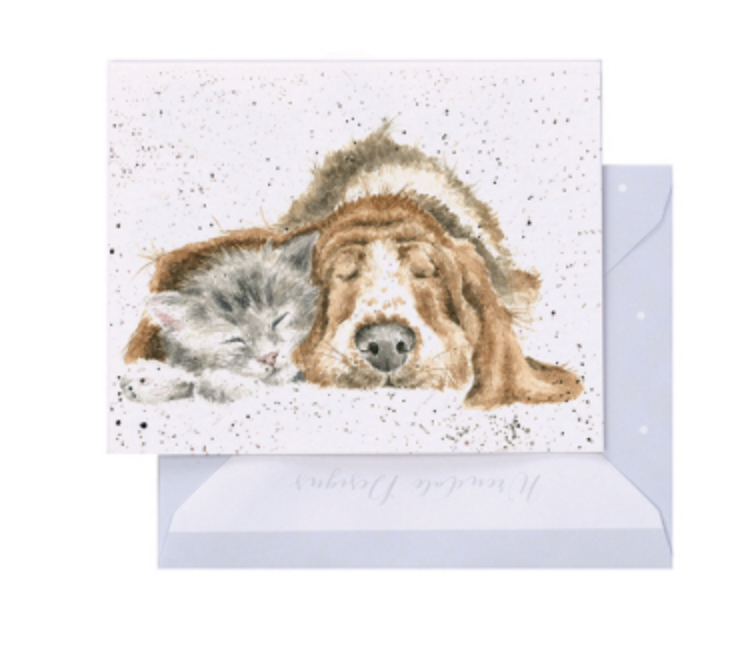 Gift Enclosure Card, Dog & Catnap