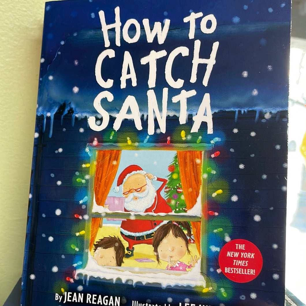 Book, How To Catch Santa