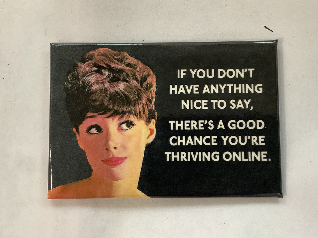 Fridge Magnet, If You Don’t Have Anything Nice To Say