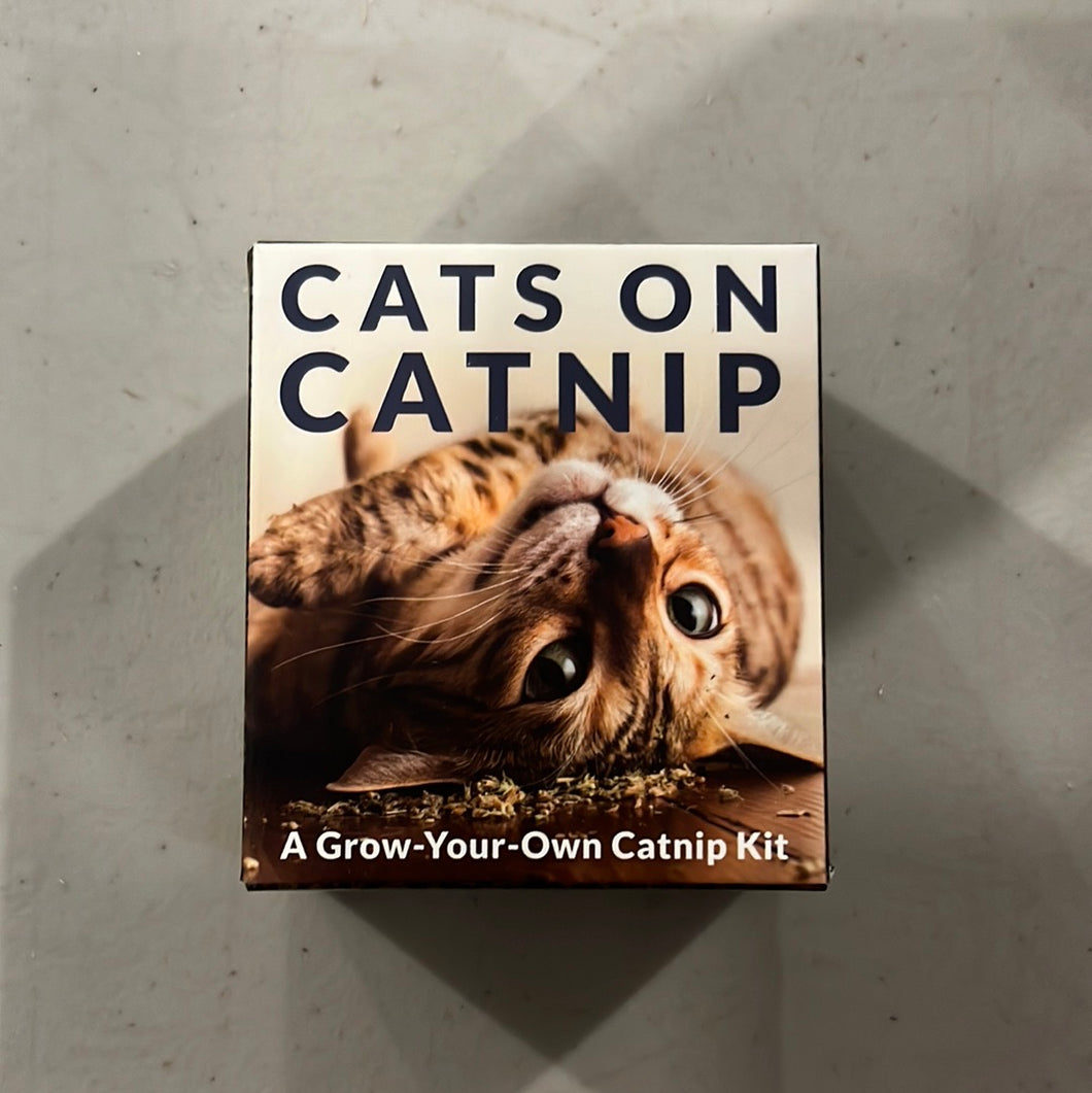 Mini Kit, Cats On Catnip