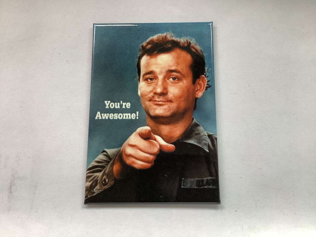 Fridge Magnet, You’re Awesome!