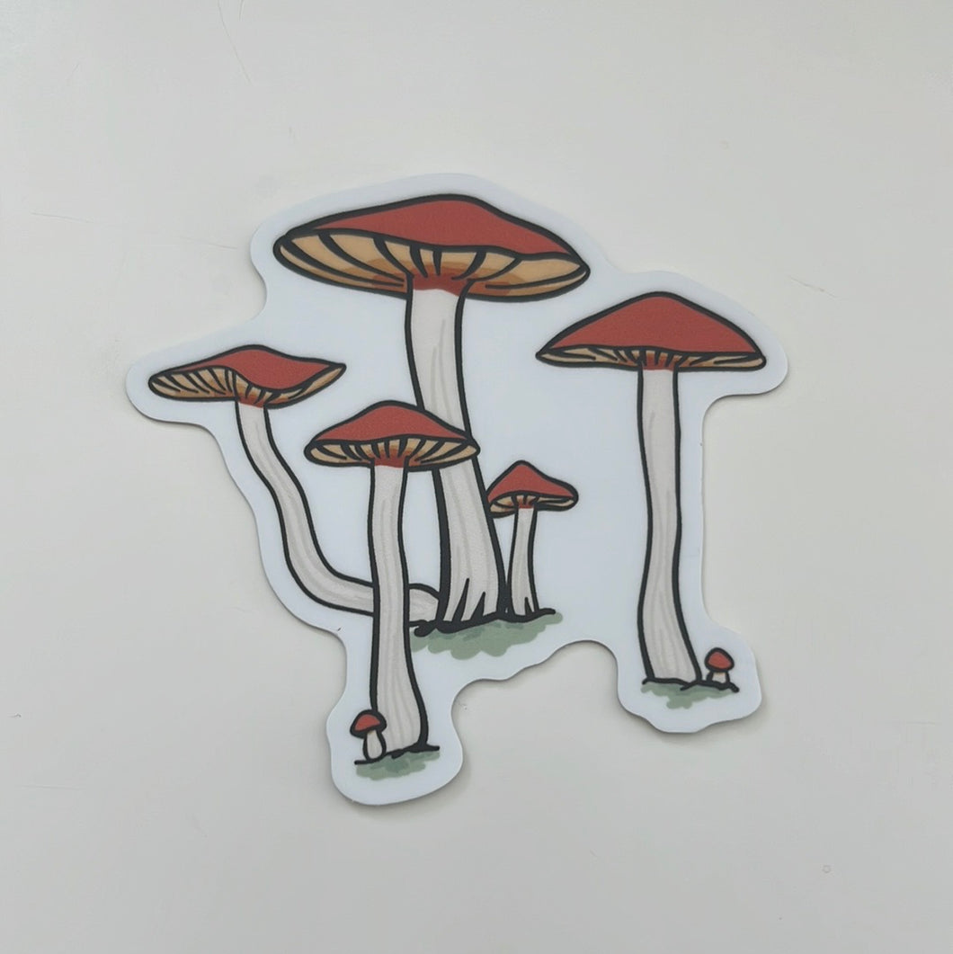 Sticker, Mushroom Cluster