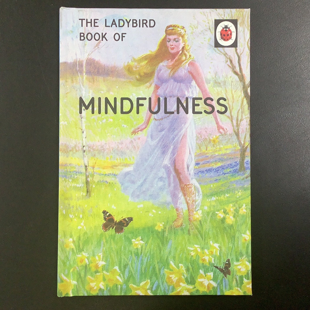 Book, The Ladybird Book Of Mindfulness